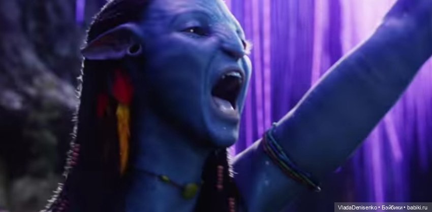 Мои первые котятки Оматикайя. Аватар (фото 2)