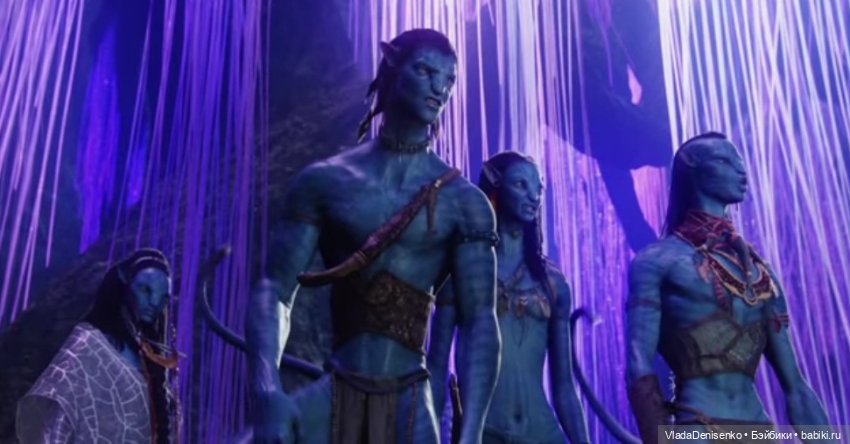 Мои первые котятки Оматикайя. Аватар (фото 5)