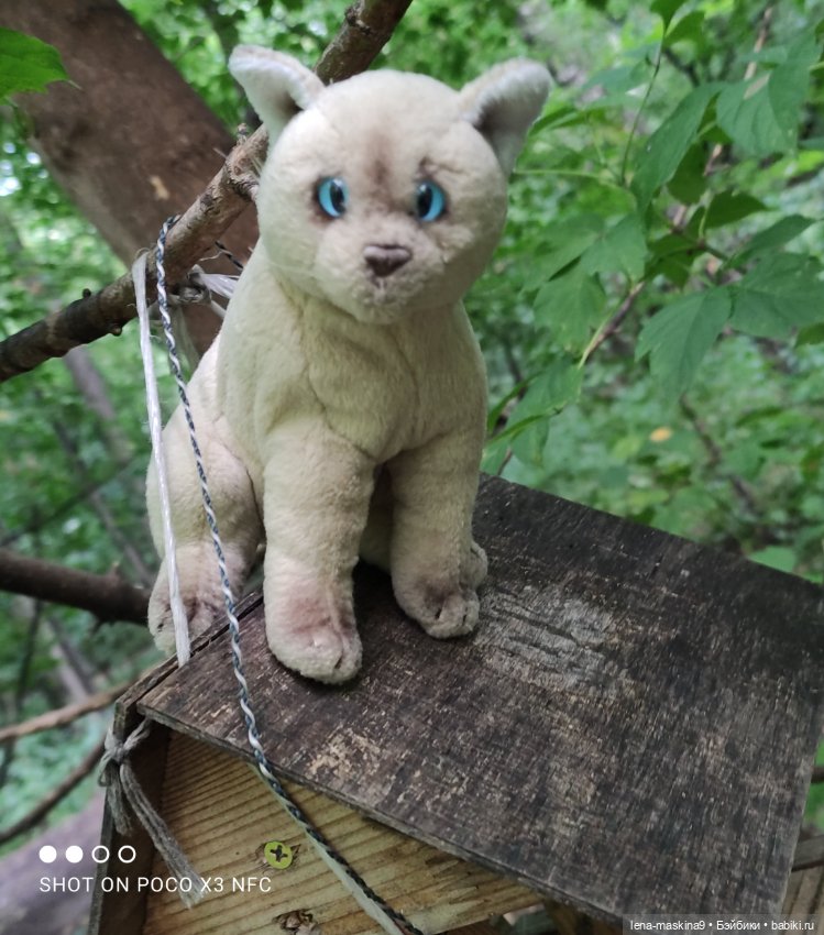 После дождика в лесу — Интересные игрушки и фигурки (разное): редкие (фото 6)