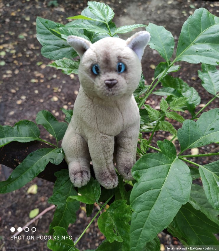 После дождика в лесу — Интересные игрушки и фигурки (разное): редкие