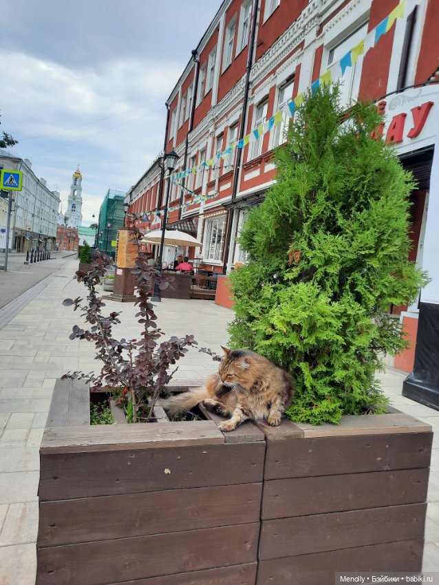 С новым блогером — Туризм и путешествия: фотоотчеты из поездок (фото 7)