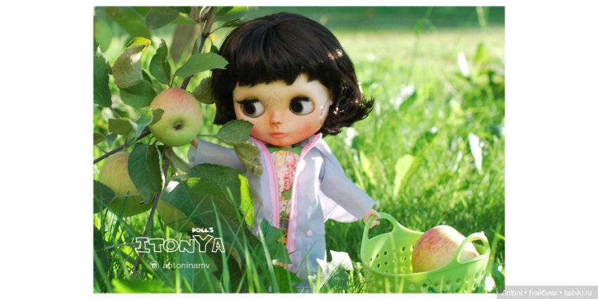 Вот и яблочки поспели — Болталка и разговоры обо всем: жизнь