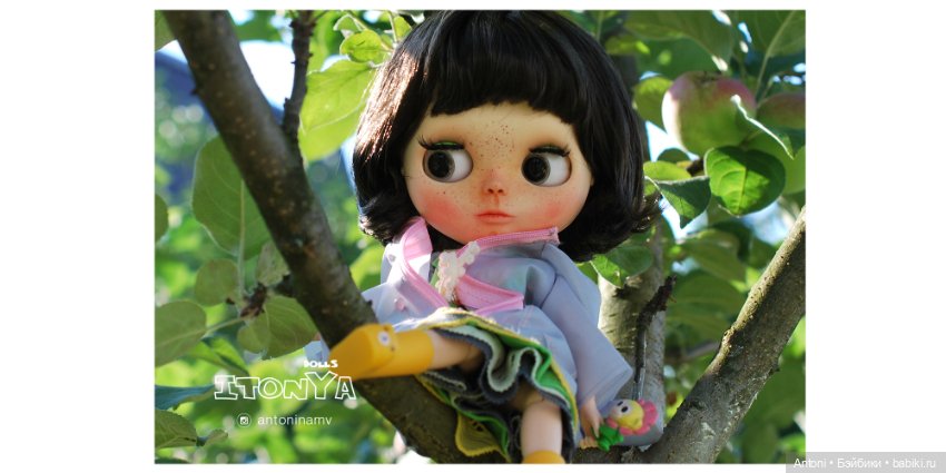 Вот и яблочки поспели — Болталка и разговоры обо всем: жизнь (фото 2)