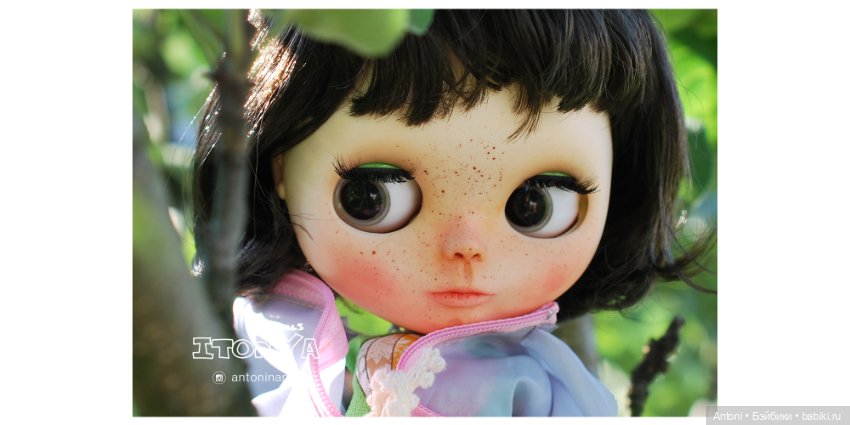 Вот и яблочки поспели — Болталка и разговоры обо всем: жизнь (фото 3)