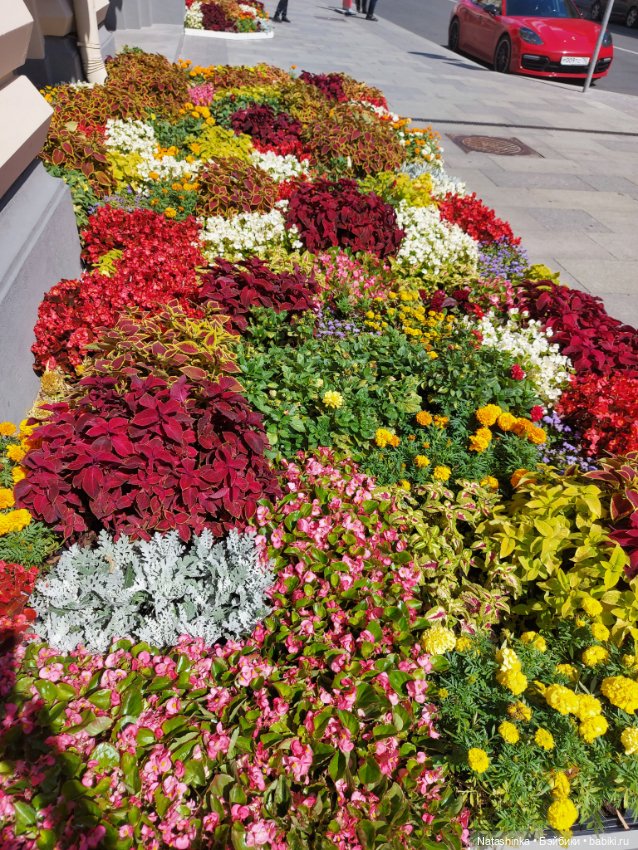 Fashion Dolls 240 — Куклы Звезды подиума (Angel Collection): шарнирные (фото 9)