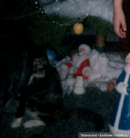 Как жаль — Болталка и разговоры обо всем: жизнь (фото 3)