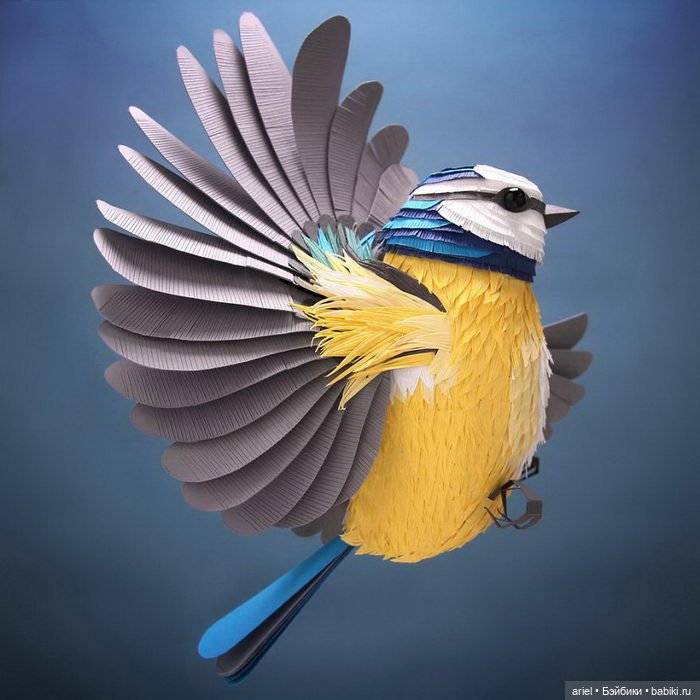 Бумажные скульптуры животных и насекомых от автора Lisa Lloyd (фото 3)