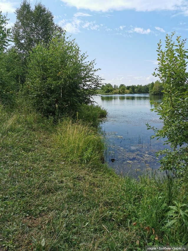 Прогулка на озеро — Болталка и разговоры обо всем: жизнь (фото 2)