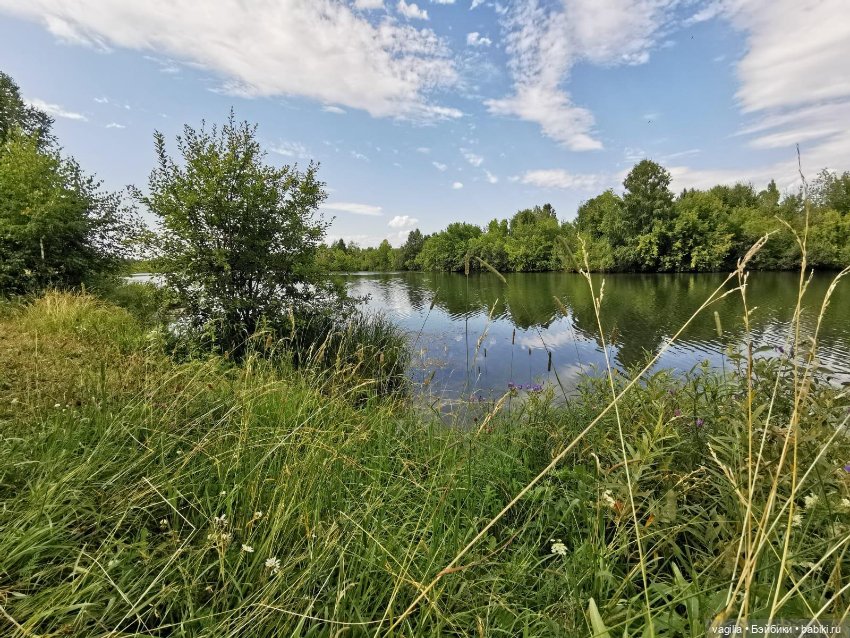 Прогулка на озеро — Болталка и разговоры обо всем: жизнь (фото 3)