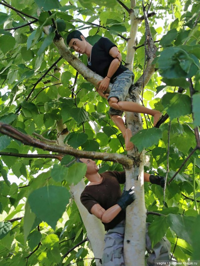 Прогулка на озеро — Болталка и разговоры обо всем: жизнь