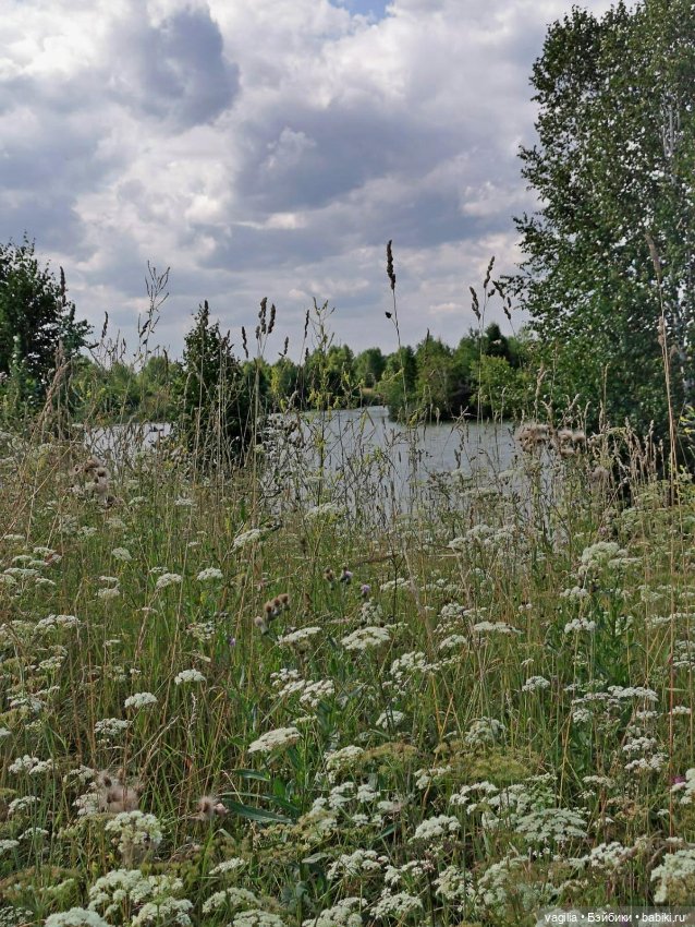 Прогулка на озеро — Болталка и разговоры обо всем: жизнь