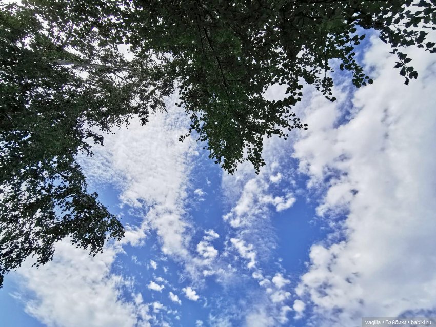 Прогулка на озеро — Болталка и разговоры обо всем: жизнь