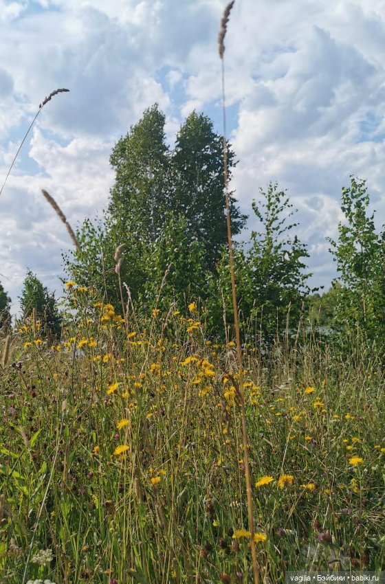 Прогулка на озеро — Болталка и разговоры обо всем: жизнь