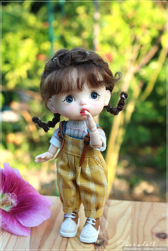 Внезапно Молекула — Куклы и тела Obitsu 11 (Ob11): гибриды (фото 3)