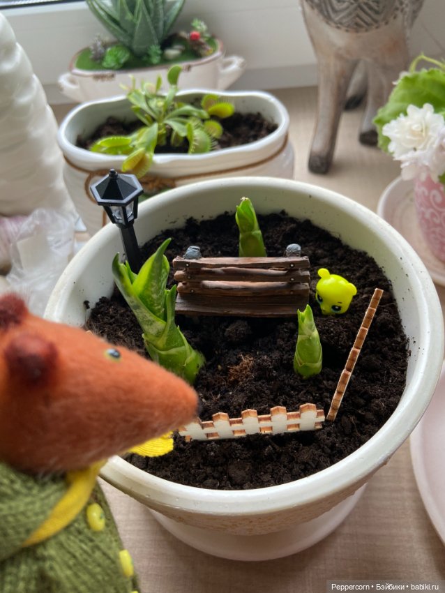 Два с половиной года ожидания (фото 4)