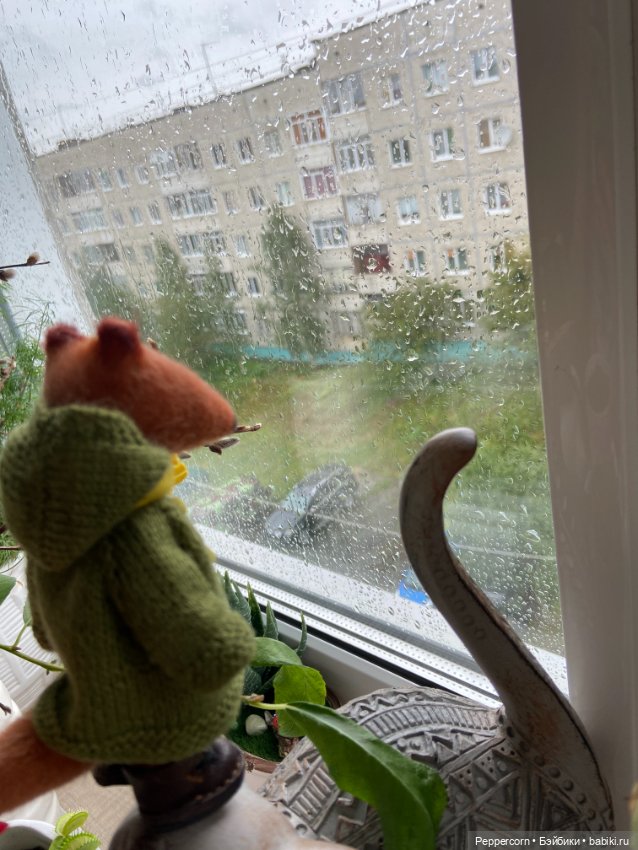 Два с половиной года ожидания (фото 7)