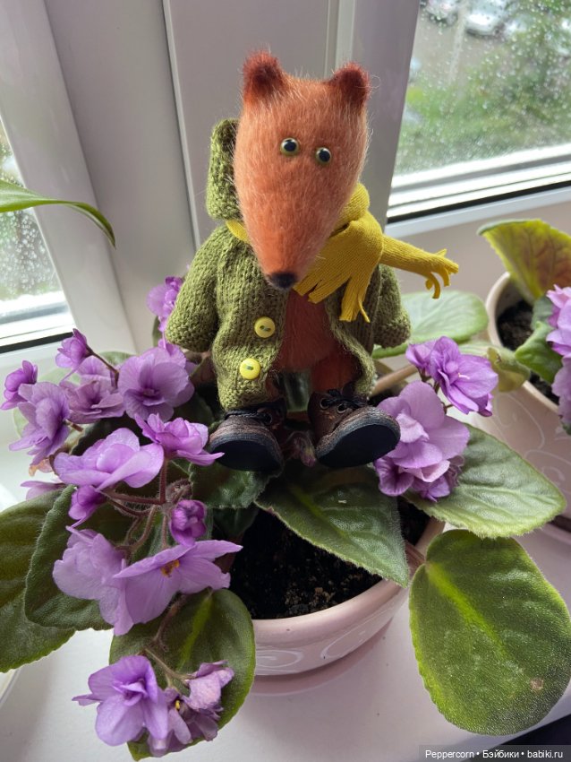 Два с половиной года ожидания (фото 3)