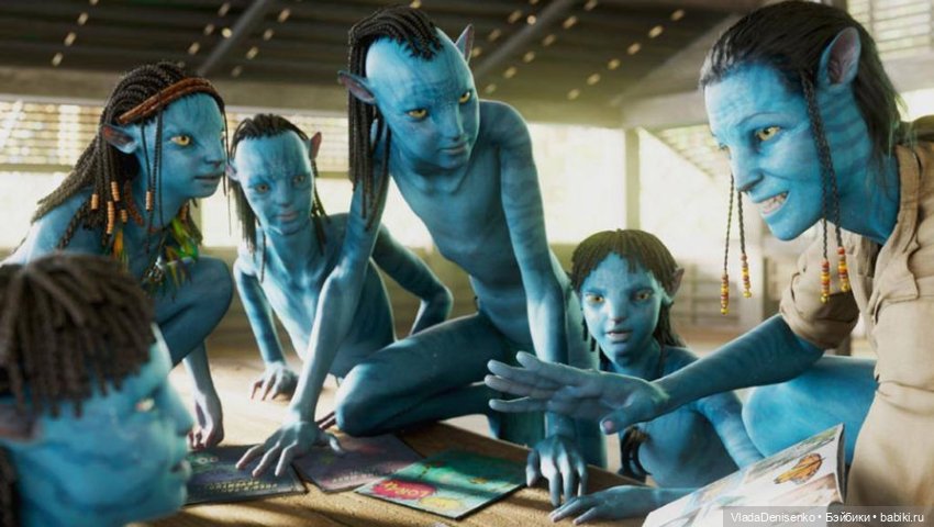 Мои первые котятки Оматикайя. Аватар (фото 6)