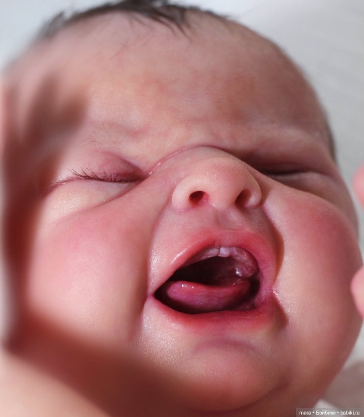 Maria скульптора Sabrina Hergarten, автор прототипа Beatriz Clemente (фото 9)