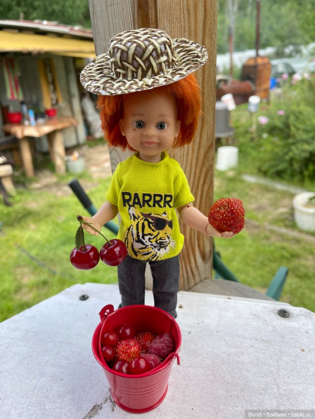 Солнечный, рыжий новый житель