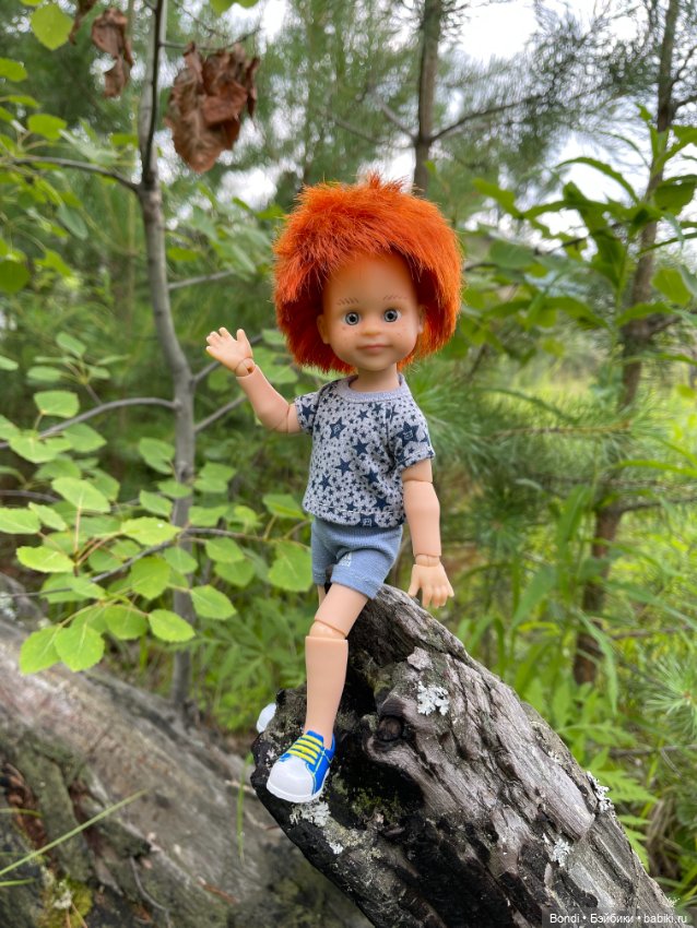 Солнечный, рыжий новый житель (фото 6)