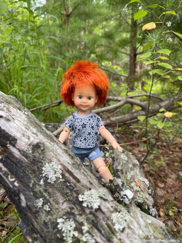 Солнечный, рыжий новый житель (фото 5)