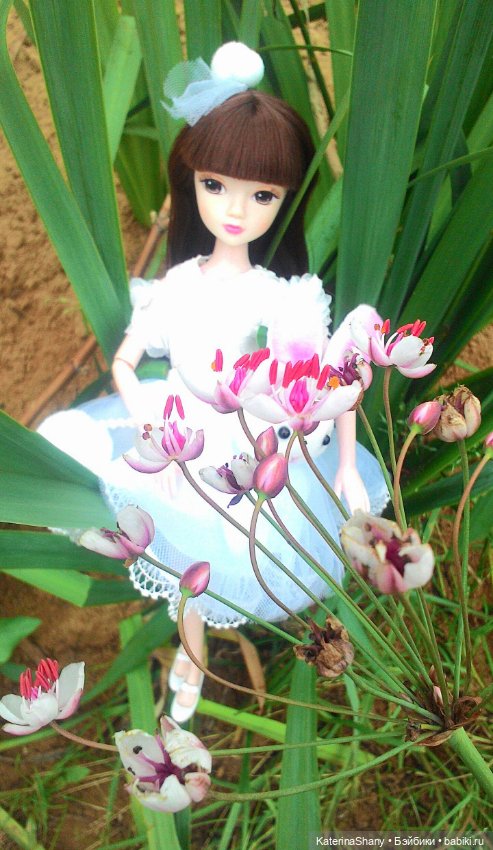 Следуй за белым кроликом или тело с розовинкой (фото 6)