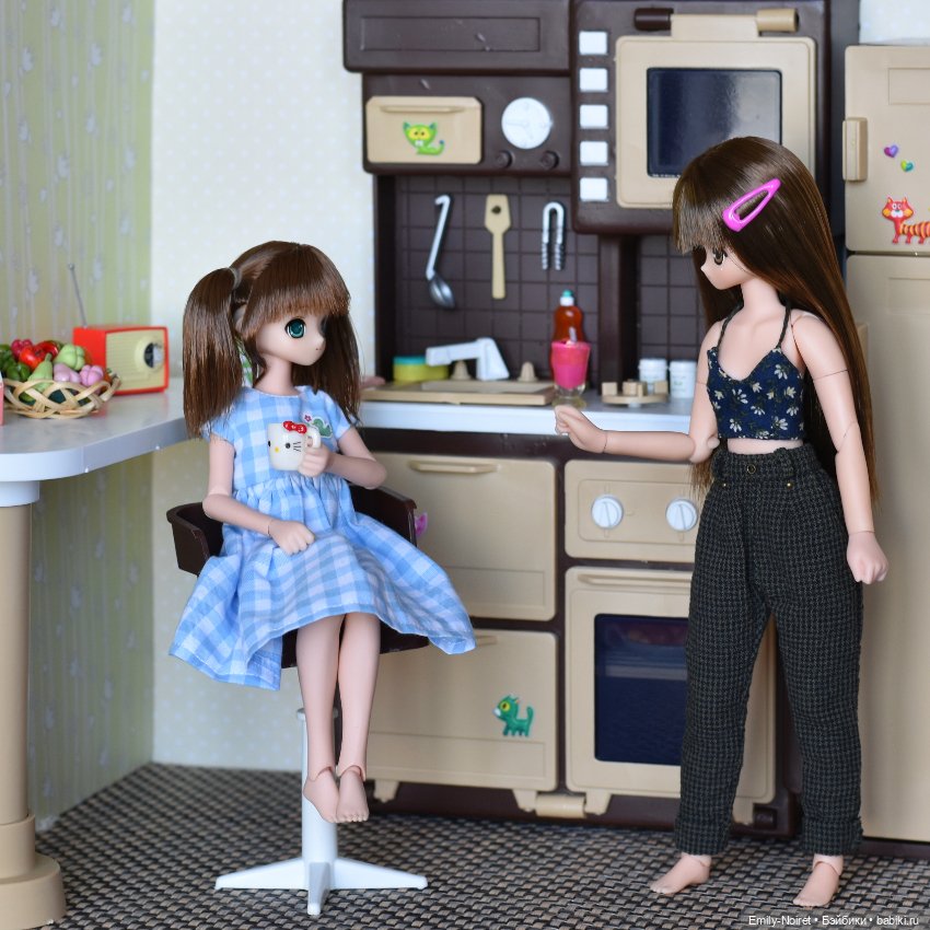 Посиделки на кухне — Аниме куклы (MJD/Винил): Imomo