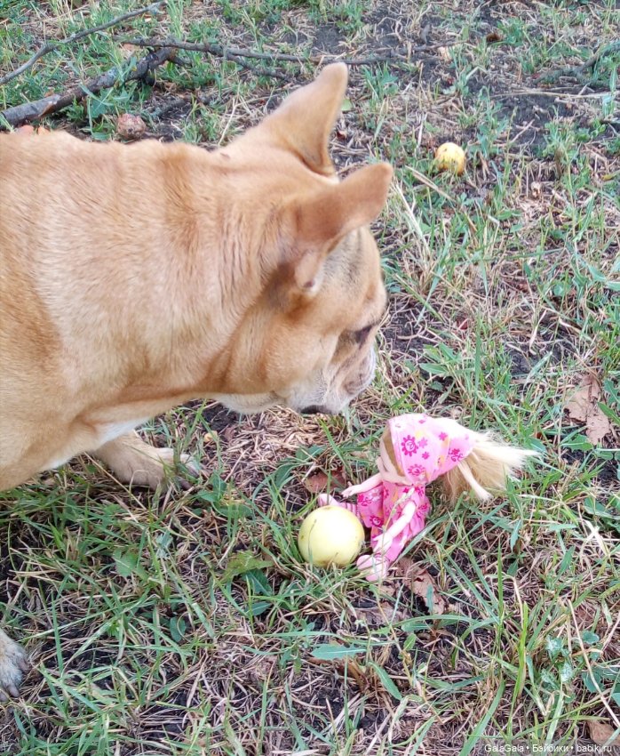 Лето в деревне — Куклы Baboliy (Баболи