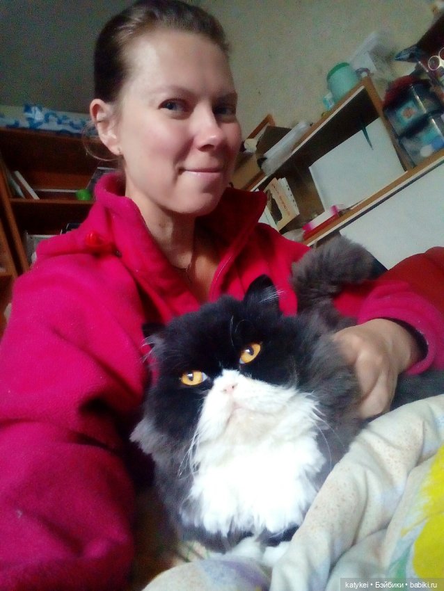 День Котиков 8.08.2021 — Болталка и разговоры обо всем: жизнь