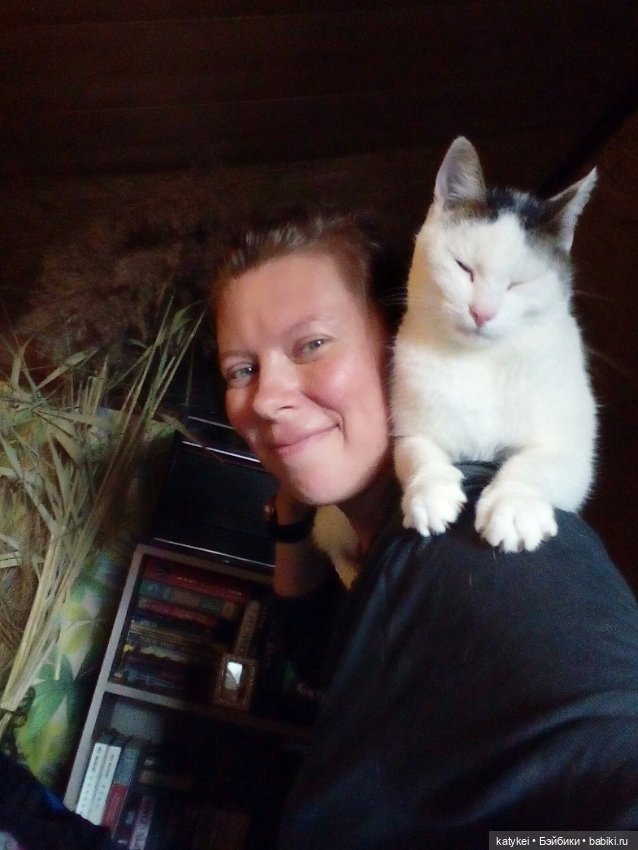 День Котиков 8.08.2021 — Болталка и разговоры обо всем: жизнь (фото 6)