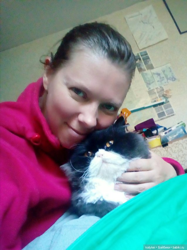 День Котиков 8.08.2021 — Болталка и разговоры обо всем: жизнь (фото 5)