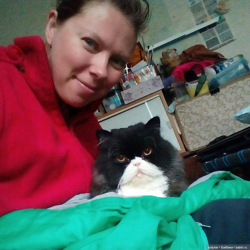 День Котиков 8.08.2021 — Болталка и разговоры обо всем: жизнь (фото 3)