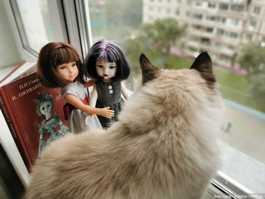 Котики и куклокотики. Всемирный день кошек