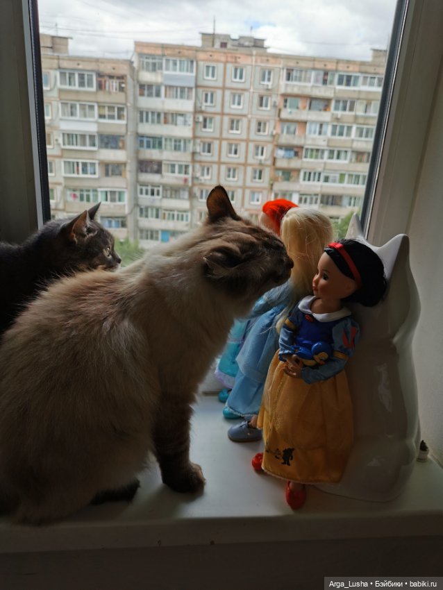 Котики и куклокотики. Всемирный день кошек