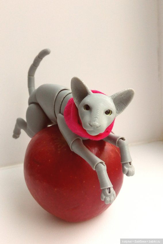 День Котиков 8.08.2021 — Болталка и разговоры обо всем: жизнь