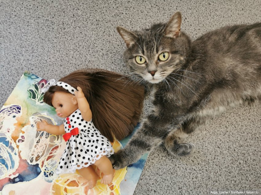 Котики и куклокотики. Всемирный день кошек