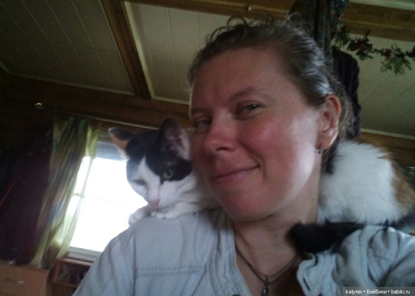 День Котиков 8.08.2021 — Болталка и разговоры обо всем: жизнь