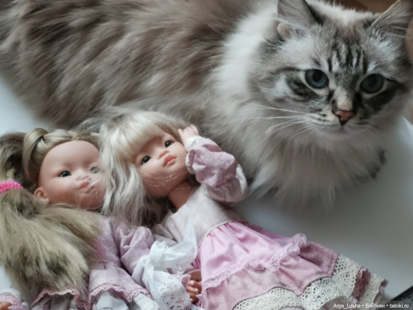 Котики и куклокотики. Всемирный день кошек