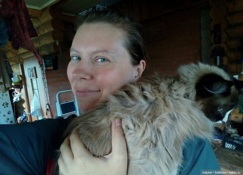 День Котиков 8.08.2021 — Болталка и разговоры обо всем: жизнь