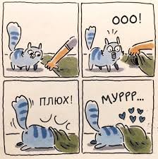 День Котиков 8.08.2021 — Болталка и разговоры обо всем: жизнь