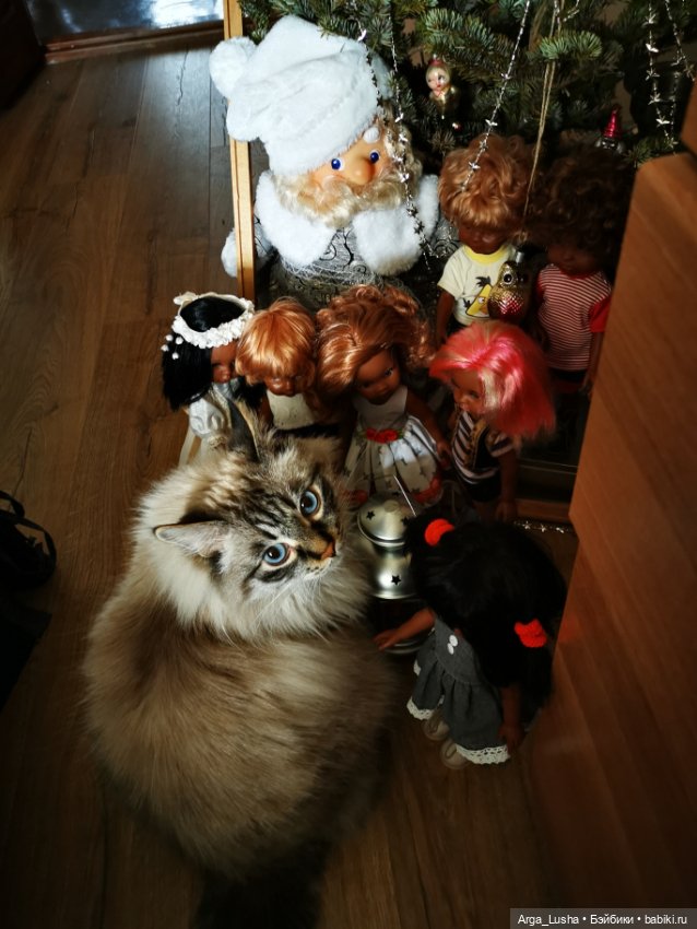 Котики и куклокотики. Всемирный день кошек