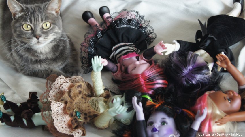 Котики и куклокотики. Всемирный день кошек