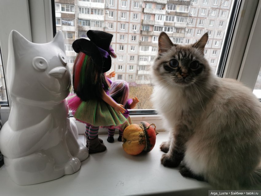 Котики и куклокотики. Всемирный день кошек (фото 6)