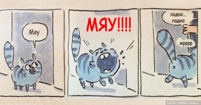 День Котиков 8.08.2021 — Болталка и разговоры обо всем: жизнь