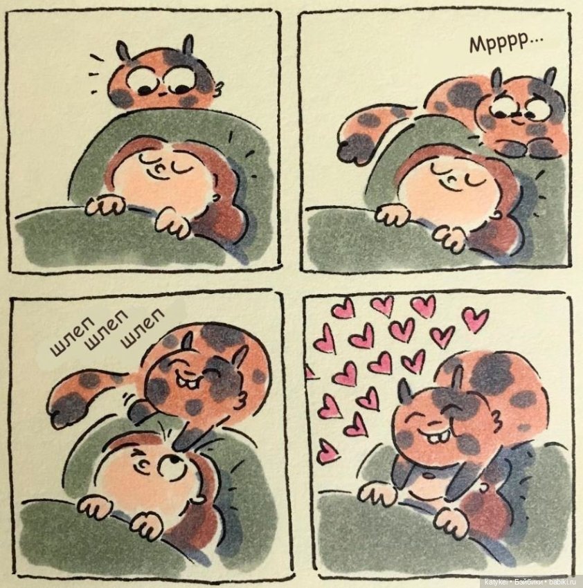 День Котиков 8.08.2021 — Болталка и разговоры обо всем: жизнь