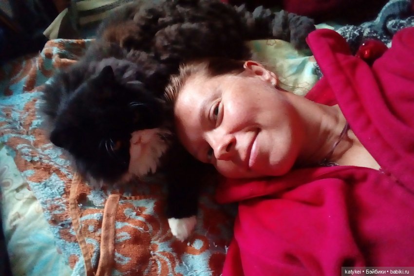 День Котиков 8.08.2021 — Болталка и разговоры обо всем: жизнь (фото 4)