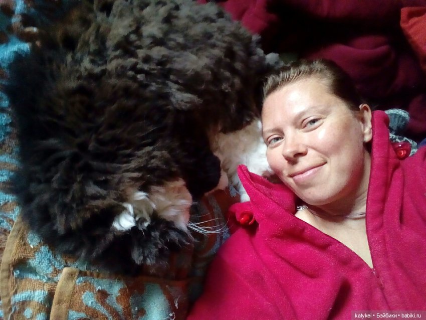 День Котиков 8.08.2021 — Болталка и разговоры обо всем: жизнь (фото 2)