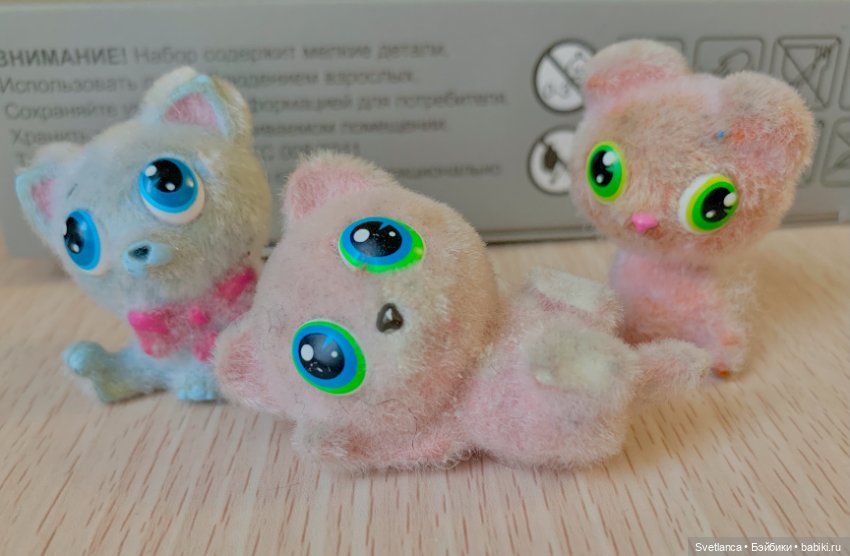 Всемирный день кошек. Коллекция котиков