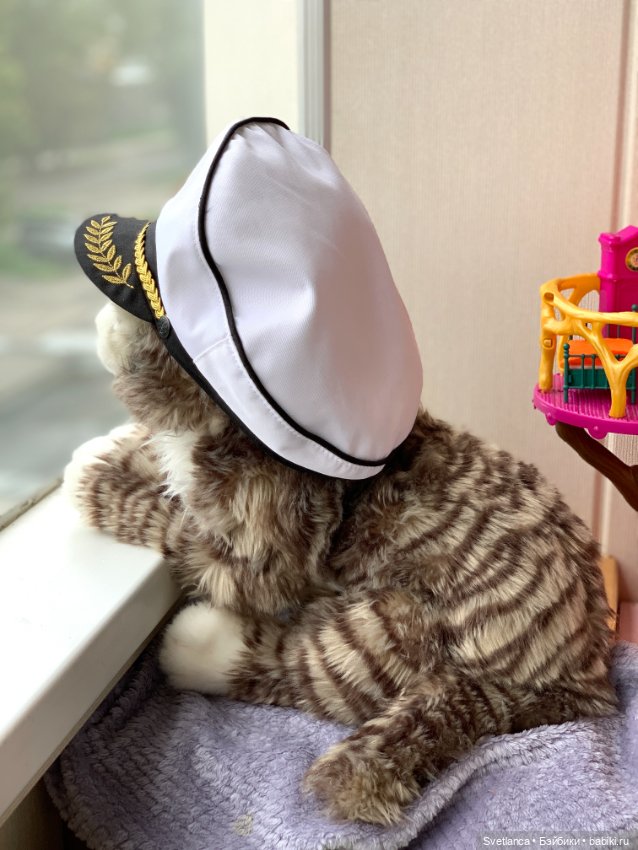 Всемирный день кошек. Коллекция котиков (фото 10)